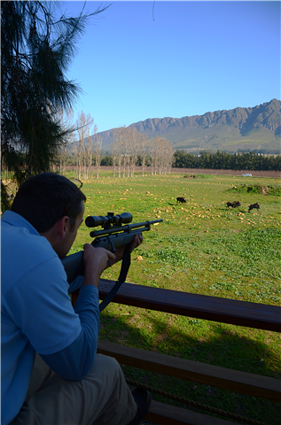 Mark Walton takes aim at a wildebeest. Photo: Gero Lilleike
